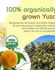 USDA Organic Yuzu Citron Juice  24 Pouches  Ready to Drink ONTHEGO Vegan Kids Juice Yuzu Beverage Rich in Vitamin C Korean Honey Citron Tea by Yuza