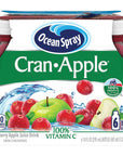 Ocean Spray CranApple Cranberry Apple Juice Drinks 10 Fl Oz Pack of 6