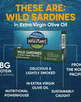 Wild Planet Wild Sardines in Extra Virgin Olive Oil Lightly Smoked Tinned Fish Sustainably WildCaught NonGMO Kosher Gluten Free 44 Ounce Pack of 12