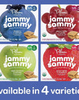 Plum Organics Kids Jammy Sammy Apple Cinnamon  Oatmeal 102 Oz 5 Pack