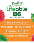 Lifeable Vitamin B6 100mg - Great Tasting Natural Flavor Gummy Supplement Vitamins - Non-GMO Gluten Free Vegan Chewable B 6 - for Nerve Function Support - for Adults Men Women Kids - 60 Gummies