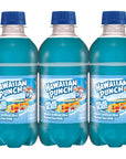 Hawaiian Punch Polar Blast Fruit Juice Drink 10 Fl Oz Bottles 24 Count 4 Packs Of 6 Readytodrink Onthego Caffeinefree Carbonationfree Glutenfree Excellent Source Of Vitamin C