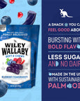 Wiley Wallaby Licorice 10 Ounce Classic Gourmet Soft  Chewy Australian Blueberry Pomegranate Candy Twists 1 Pack