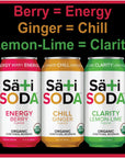 Sati Soda  Organic  Functional 12 Pack  4045 Calories Only 9 Grams of Organic Cane Sugar AllNatural Ingredients with Benefits