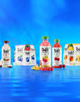 Bai Antioxidant Infused Water Beverage Molokai Coconut with Vitamin C and No Artificial Sweeteners 18 Fluid Ounce Bottle 12 Pack