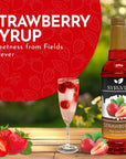 Syruvia Strawberry Syrup 254 fl oz  Sweet Strawberry Bliss in a Bottle  Kosher GlutenFree Ideal for Elevating Your Culinary and Beverage Adventures