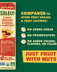 SOLELY Organic Banana with Pecan Fruit Jerky, 12 Strips | Two Ingredients | Vegan | Non-GMO | Gluten-Free | No Sugar Added