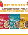 Pintola Dark Chocolate  Cranberry Muesli with 25 Millet  60 Wholegrains 800g Healthy breakfast cereal with 6 varied Nuts  seeds No Preservatives High in Fibre  Protein Cholesterol Free