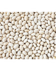 Hunza Organic Navy Beans 2 lbs