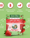 MaryRuth Organics Sugar Candy SugarFree Gummy Bears Snack with Electrolytes and Fiber for Kids and Adults Strawberry Vegan Gluten Free NonGMO Family Size 240 Grams 052 Pounds 8 Pieces