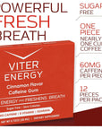 Viter Energy Caffeinated Gum 60mg Caffeine, B Vitamins, Guarana, Sugar Free. (Cinnamon, 12pcs, 6 Pack)