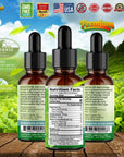 Margarita Premium Quality Stevia Drops | Organic Liquid Stevia | Best Sugar Substitute | 100% Pure Extract | All Naturally Sweet | Non-Bitter, 0 Calorie, NON-GMO, Diabetic & Keto Friendly (1oz)