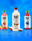 Bai Antioxidant Infused Water Beverage Molokai Coconut with Vitamin C and No Artificial Sweeteners 18 Fluid Ounce Bottle 12 Pack