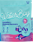 Waterboy Weekend Recovery Variety | 3,200mg Electrolyte Powder Packets | Ginger + L-Theanine + Vitamins | No Sugar, All Natural, Gluten Free | 24 Drink Stick Mixes (Variety Pack)