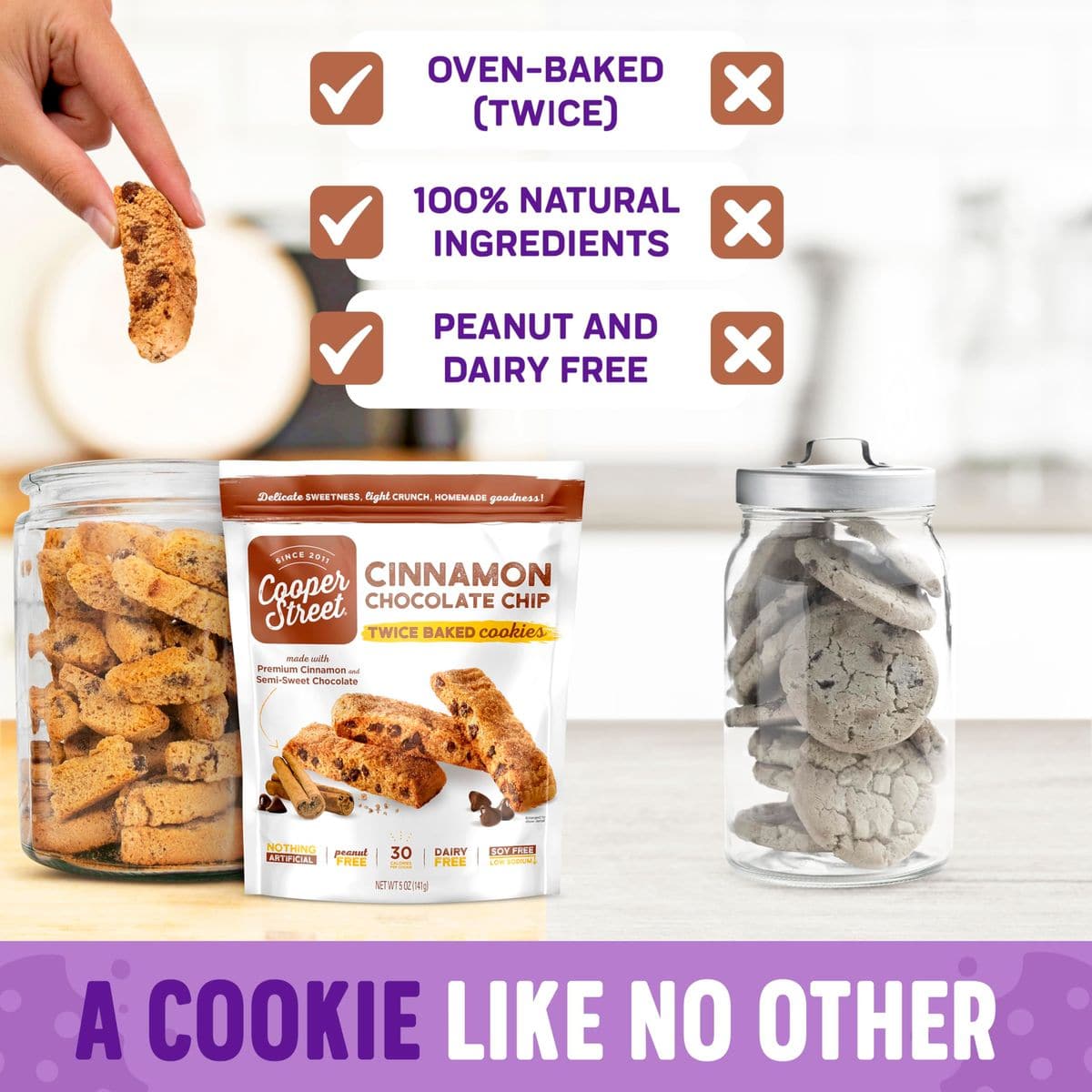 Cooper Street Italian Biscotti Cookies  Twice Baked Biscotti Style Cookie Biscuits in Delicious Cinnamon Chocolate Chip  Crispy Light and Healthy Cookies  Peanut  Dairy Free  5oz  1 Pack