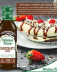 Walden Farms Chocolate Syrup 12 oz Pack of 2  Sweet Syrup Near Zero Fat Sugar and Calorie  For Pancakes Waffles Muffins Fruits Shakes Lemonade Desserts Snacks Appetizers and Many More