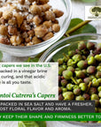 Frantoi Cutrera Gourmet Italian Capers in Sea Salt  Capers Non Pareil  Capers For Cooking and Garnishing  Mediterranean Caper Imported From Italy 53oz 150g Pack of 2