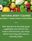 Fruniti Super Greens Smoothie Mix  Natural Cleanse  Detox  No Sugar Added  Fruit  Veggie Puree  Spirulina Spinach Kale Cucumber Lemongrass Apple Banana Kiwi  Makes 24 Smoothies