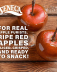 Seneca Caramel Apple Chips | Made from Fresh Apples | 100% Red Delicious Apples | Yakima Valley Orchards | Crisped Apple Perfection | Foil-Lined Freshness Bag | 0.7 ounce (Pack of 24)