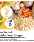 HOTTA Instant Ginger Drink With Zinc  Vitamin C Hot or Cold No Sugar Caffeine Free Tea Soothes Throat Easy Brewing Low Calories Real Asian Ginger 10 Sachets