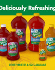 V8 Splash Fruit Medley Flavored Juice Beverage 16 FL OZ Bottle Pack of 12