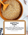 Steel Cut Oats Organic Oatmeal Bulk 48 lb  Irish Oatmeal Cut Oat Groats by Be Still Farms  100 Whole Grain  High Protein Cereal  USDA Certified  USA Grown  Vegan  NonGMO  Sugar Free