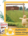 HOTTA Instant Ginger Drink With Zinc  Vitamin C Hot or Cold No Sugar Caffeine Free Tea Soothes Throat Easy Brewing Low Calories Real Asian Ginger 10 Sachets