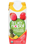 TRUE NOPAL Organic Cactus Water with Pineapple 169 FZ