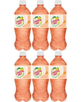 Canada Dry Ginger Ale 20oz Bottles Pack of 6 Peach with Bay Area Marketplace Napkins