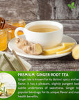 FreshDrinkUS Premium 120 Ginger Tea Bags 100 Natural  Pure from Ginger Roots Ginger Tea Ginger Herbal Tea Ginger Tea No Sugar No Caffeine No Gluten Vegan