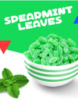 Spearmint Leaves Jelly Candy Minty Slices 2 Pound Bag