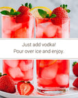 Monin  HomeCrafted Strawberry Ginger Lemonade Cocktail Mixer ReadytoUse Drink Mix Sweet  Tart Flavor Just Add Vodka Perfect for Cocktails  Iced  Frozen Beverages 750 ml 2Pack