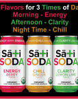 Sati Soda  Organic  Functional 12 Pack  4045 Calories Only 9 Grams of Organic Cane Sugar AllNatural Ingredients with Benefits