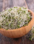 Organic Broccoli Sprouting Seeds by Handy Pantry  4 oz Resealable Bag  NonGMO Broccoli Sprouts Seeds Contain Sulforaphane