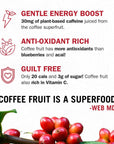 The Other Side of Coffee  Upcycled Coffee Fruit Juice Drink NonCarbonated Antioxidant Rich Low Caffeine 30mg Low Calorie Low Sugar 100 Natural 12 Fl Oz Berry Flavor Pack of 12