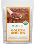 Healthworks Golden Berries (16 Ounces / 1 Pound) | Raw | Certified Organic & Sun-Dried | Gooseberries | Keto, Vegan & Non-GMO | Salads & Smoothies | Antioxidant Superfood