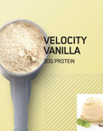 Optimum Nutrition Platinum Hydrowhey Protein Powder, 100% Hydrolyzed Whey Isolate Powder, Flavor: Velocity Vanilla, 3.5 Pounds (Packaging May Vary)