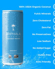 Sriphala Mineral Rich Nutritious Coconut Water Organic  with Fulvic Acid  Electrolyte Water  NonGMO Keto GlutenFree No Sugar Added Tasteful Vitamin Water Energy Quench 1332 Fl Oz12pack