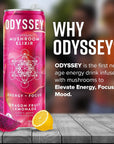 Odyssey Elixir Sparkling Adaptogen Drink Low Calorie Drinks L Theanine Lions Mane Cordyceps  Green Tea Caffeine for Energy  Focus NonGMO Vegan Dragon Fruit Lemonade Flavor 12 Fl oz 12 Pack