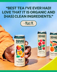 Zevia Organic Sugar Free Iced Tea Caffeine Free Hibiscus Tea Passionfruit 12 Ounces Pack of 12