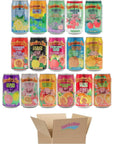 Hawaiian Sun Drinks, All Flavors, 1 Can per Flavor - Total 16 Cans