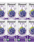 Honest Juice Boxes for kids Organic Juice  Juice Box of Apple Juice Berry Lemonade Grape  Fruit Punch has No Added Sugar and Tasty Juice Drink for Adult and Kids  6 Fl oz Each BETRULIGHT Variety Pack of 8 Grapes