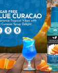 Syruvia Sugar Free Blue Curacao Syrup With Syrup Pump Dispenser  Blue Curacao Syrup Flavor 254 fl oz  Perfect for Cocktails ice Tea Desserts Italian Sodas Ice and More Kosher and GlutenFree