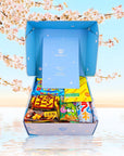 Sakura Box Japanese Candy  Snacks Dagashi Set  Pamphlet 50 Pieces Japanese Food Gift Box