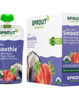 Sprout Organics, Dairy-Free Smoothie, Berry, Grape, Coconut Milk, Veggies & Flax Seed, 12+ Month Pouches, 4 oz (12-count)