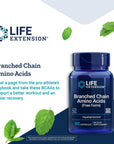 Life Extension Branched Chain Amino Acids - BCAA Supplement - Essential Nutrition L-Leucine, L-Isoleucine, L-Valine for Muscle Recovery Support after Workout - Gluten & GMO Free - 90 Capsules