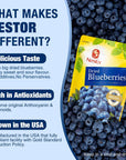 Nestor Premium Dried Big Blueberries 1 lb NonGMO No Preservatives Unsulfured Sweetened Dehydrated Blueberry Dried Fruits Snacks for Baking Oatmeal SaladsGrown in OR