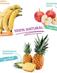 Baked Fruit Snack Pack by GOOD CHIPS. Pineapple, Sweet Plantain Banana and Apple Chips. Oil Free, Vegan, Non-Gmo, Variety Pack of 6