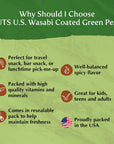 NUTS US  Wasabi Coated Green Peas  Vegan  Premium Quality  Crunchy  Spicy Roasted Flavor  Packed in a Resealable Bag 3 LBS