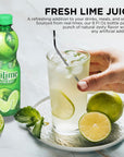 Realime Lime juice 8 Fl Oz  Fresh Lime Juice for Drinks Meals  Snacks Natural Zesty Flavor with Moofin SS Metal Straw 100 Natural No Artificial Flavors Lime Juice Bottle Pack of 3